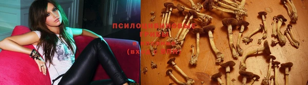 мдма Гусиноозёрск