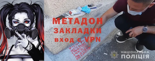 PSILOCYBIN Дмитриев
