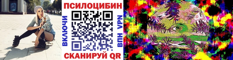 OMG рабочий сайт  Энем  Псилоцибиновые грибы Psilocybe 